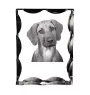 Chien de Rhodésie à crête dorsale, Rhodesian ridgeback - cristal avec photo de chien, statuette en verre avec photo, cadre exceptionnel avec photo de la marque Art-Dog