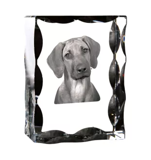 Chien de Rhodésie à crête dorsale, Rhodesian ridgeback - cristal avec photo de chien, statuette en verre avec photo, cadre exceptionnel avec photo de la marque Art-Dog