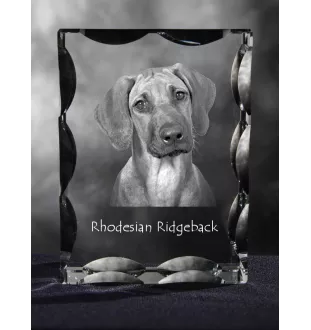 Chien de Rhodésie à crête dorsale, Rhodesian ridgeback - cristal avec photo de chien, statuette en verre avec photo, cadre exceptionnel avec photo de la marque Art-Dog
