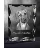 Chien de Rhodésie à crête dorsale, Rhodesian ridgeback - cristal avec photo de chien, statuette en verre avec photo, cadre exceptionnel avec photo de la marque Art-Dog