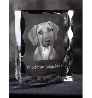 Chien de Rhodésie à crête dorsale, Rhodesian ridgeback - cristal avec photo de chien, statuette en verre avec photo, cadre exceptionnel avec photo de la marque Art-Dog
