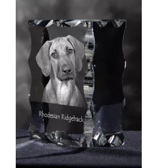 Chien de Rhodésie à crête dorsale, Rhodesian ridgeback - cristal avec photo de chien, statuette en verre avec photo, cadre exceptionnel avec photo de la marque Art-Dog