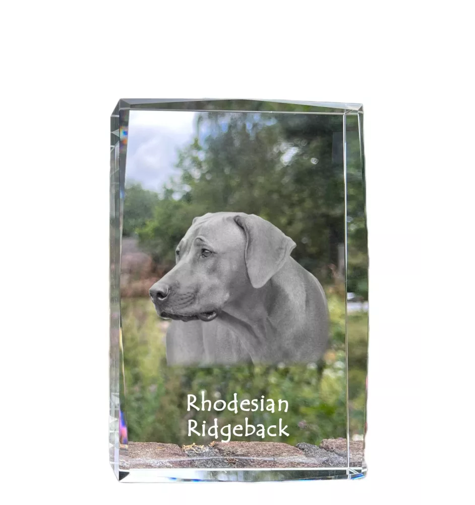 Rhodesian Ridgeback - Kristall mit einem Hundebild, Bild im Glas, moderne Ausstellung des Art-Dog-Bildes.