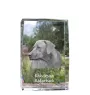 Chien de Rhodésie à crête dorsale, Rhodesian ridgeback - cristal avec une photo de chien, photo sous verre, exposition moderne de la marque de photos Art-Dog