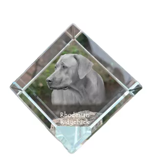Chien de Rhodésie à crête dorsale, Rhodesian ridgeback - un cube de cristal avec une photo, une photo de cheval dans le cristal, un presse-papiers cubique de la marque Art-Dog