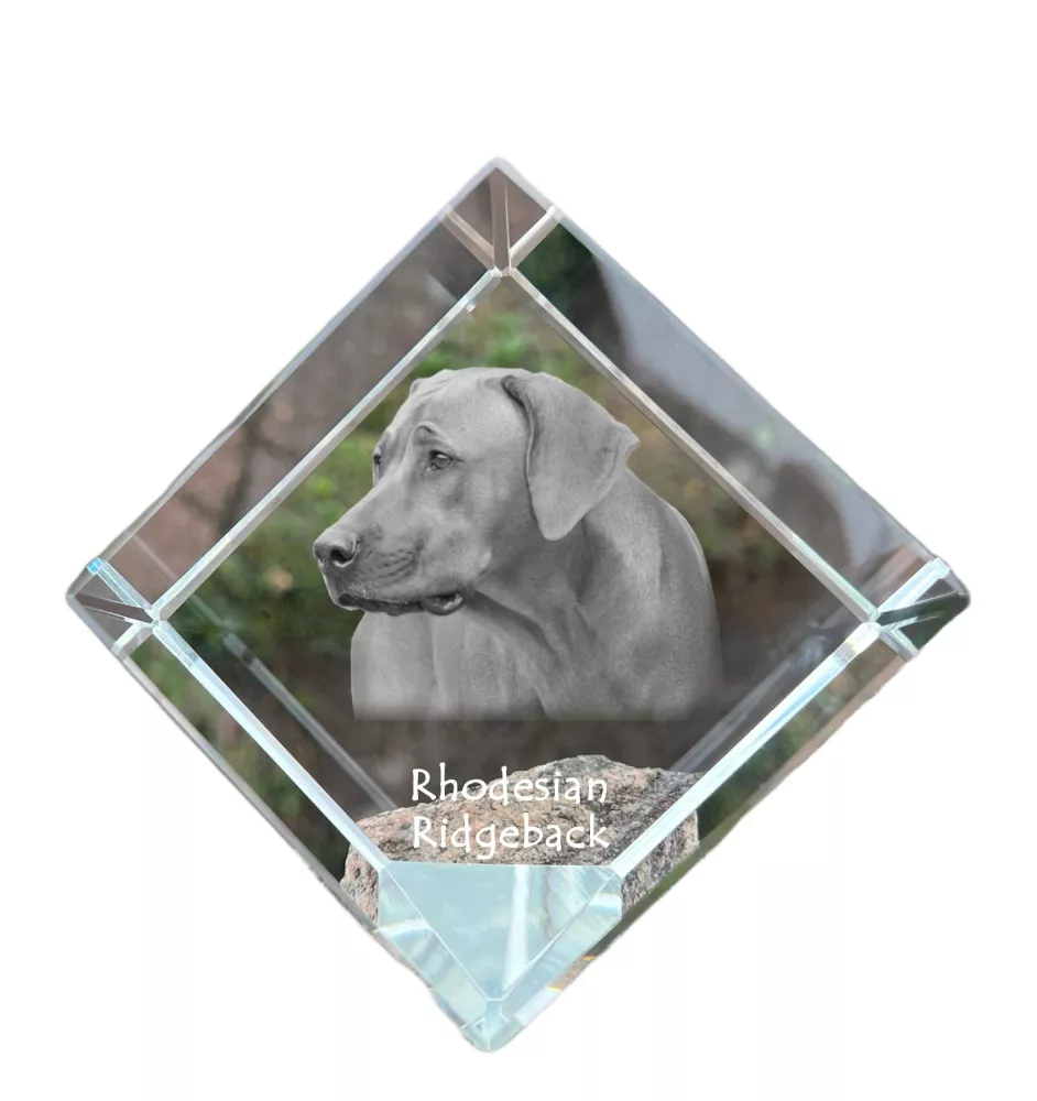 Rhodesian Ridgeback, African Lionhound, African Lion Dog - crystal cube with a photo, photo of a horse in crystal, cubic paperweight from Art-Dog brand