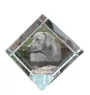 Rhodesian Ridgeback, African Lionhound, African Lion Dog - crystal cube with a photo, photo of a horse in crystal, cubic paperweight from Art-Dog brand