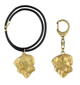 Chien de Rhodésie à crête dorsale, Rhodesian ridgeback - porte-clés et collier avec chien dans une boîte, produit plaqué or de haute qualité, marque Art-Dog