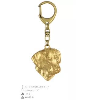 Chien de Rhodésie à crête dorsale, Rhodesian ridgeback - porte-clés et collier avec chien dans une boîte, produit plaqué or de haute qualité, marque Art-Dog