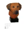 Chien de Rhodésie à crête dorsale, Rhodesian ridgeback - figurine peinte, statue, sculpture, réalisée par l'artiste, marque Art-Dog