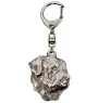 Rottweiler, Bouvier allemand I - Porte-clés argenté avec un chien dans une boîte cadeau, décoration de sac à main, pendentif de sac à dos par la marque Art-Dog