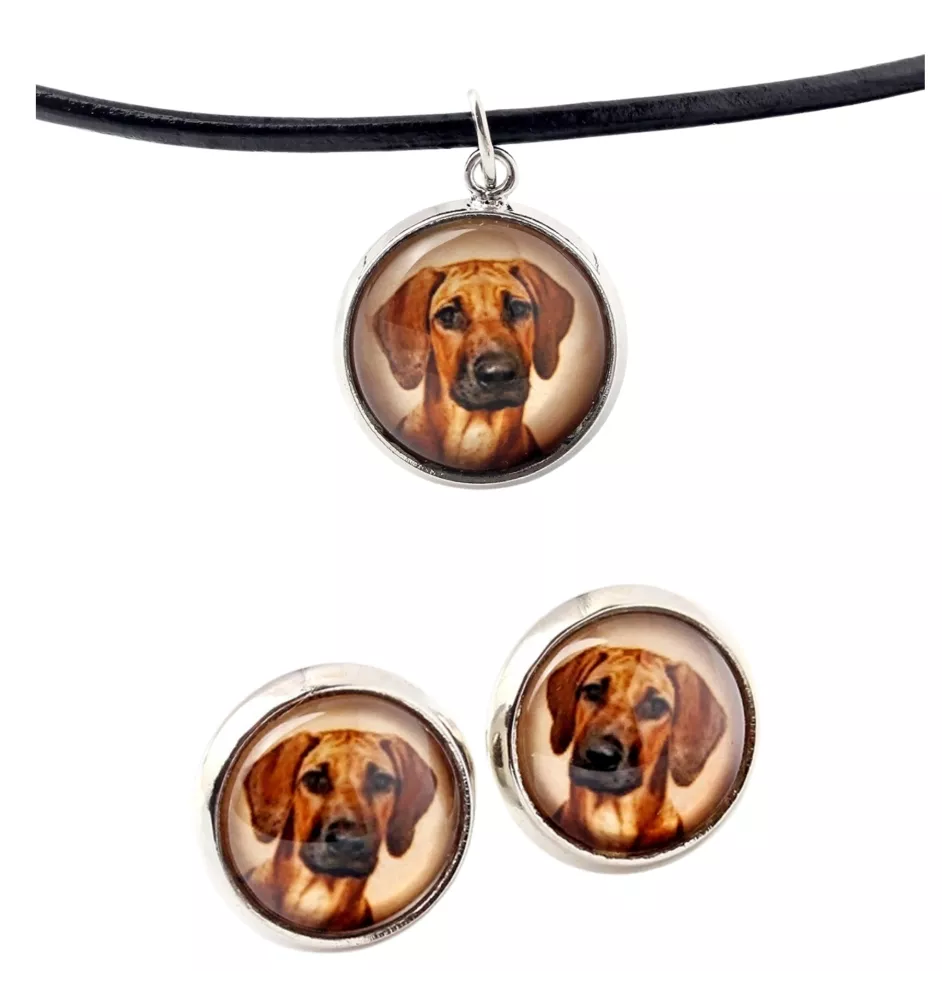 Chien de Rhodésie à crête dorsale, Rhodesian ridgeback - boîte à bijoux avec votre photo, ensemble collier et boucles d'oreilles, produits personnalisés de la marque Art-Dog