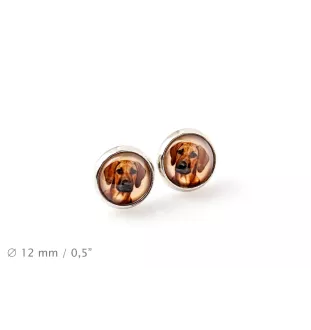 Chien de Rhodésie à crête dorsale, Rhodesian ridgeback - boîte à bijoux avec votre photo, ensemble collier et boucles d'oreilles, produits personnalisés de la marque Art-Dog