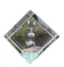Petit chien russe, Toy Terrier Russe, Toychik, Toy-tchik - un cube de cristal avec une photo, une photo de cheval dans le cristal, un presse-papiers cubique de la marque Art-Dog