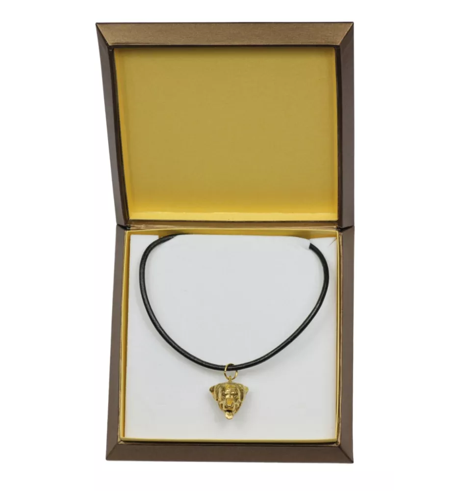 Rottweiler - Hundehalsband in Geschenkbox, vergoldeter Anhänger für Hundefans, auffälliger Schmuck von Art-Dog