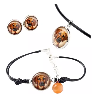 Rhodesian Ridgeback komplet w pudełku ze zdjęciem Art-Dog