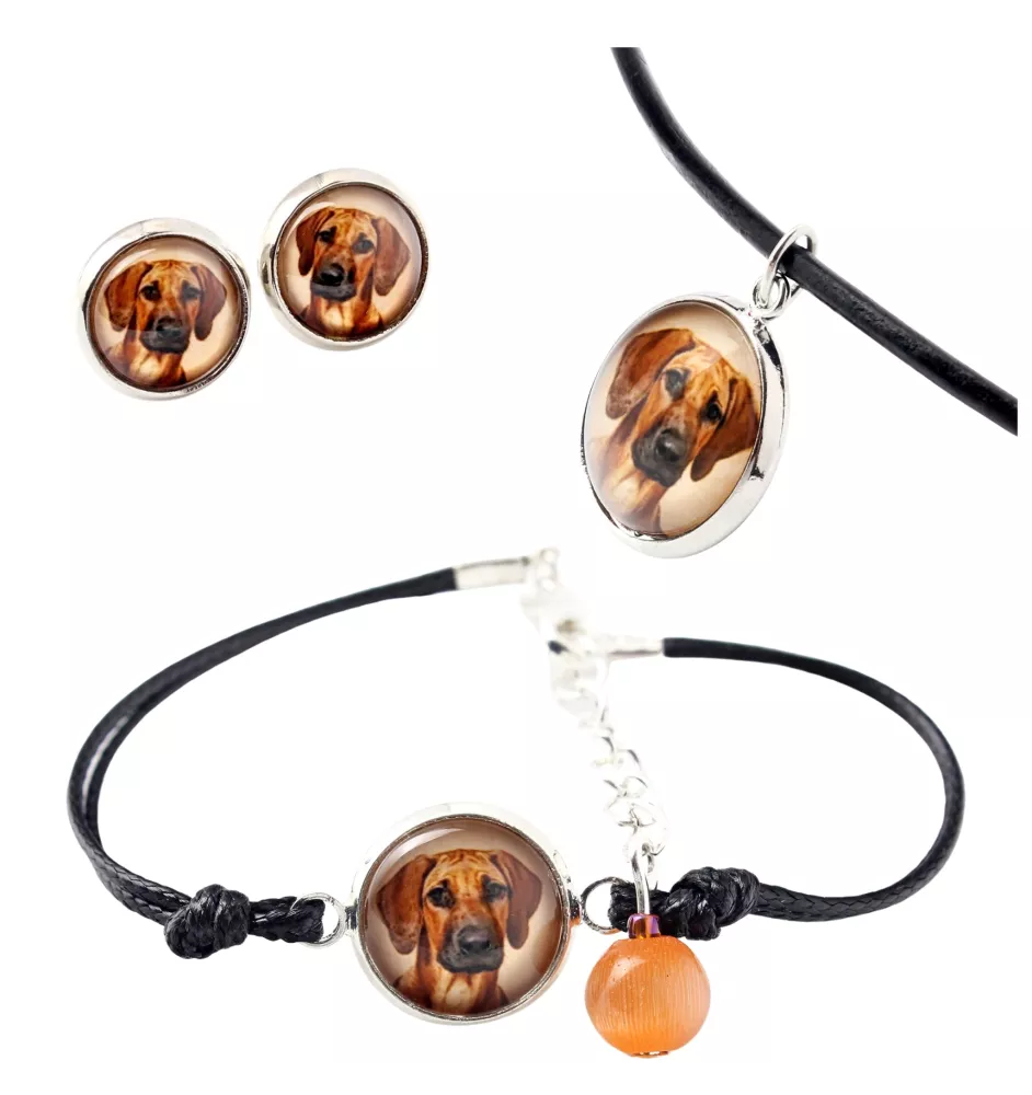 Rhodesian Ridgeback komplet w pudełku ze zdjęciem Art-Dog