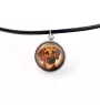 Chien de Rhodésie à crête dorsale, Rhodesian ridgeback - ensemble de bijoux dans une boîte, collier, boucles d'oreilles, bracelet, produits de la marque Art-Dog