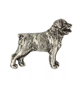 Rottweiler pin posrebrzony w pudełku Art-Dog