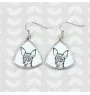 Russian Toy, Russkiy Toy, Russian Terrier, Moscow Toy Terrier - dog earrings, hanging earrings with a picture, personalized jewelry with Art-Dog brand print