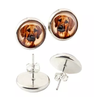 Rhodesian Ridgeback - Ohrringe in einer Schachtel, Ihr Foto, handgefertigter Schmuck, Eigenmarke von Art-Dog.