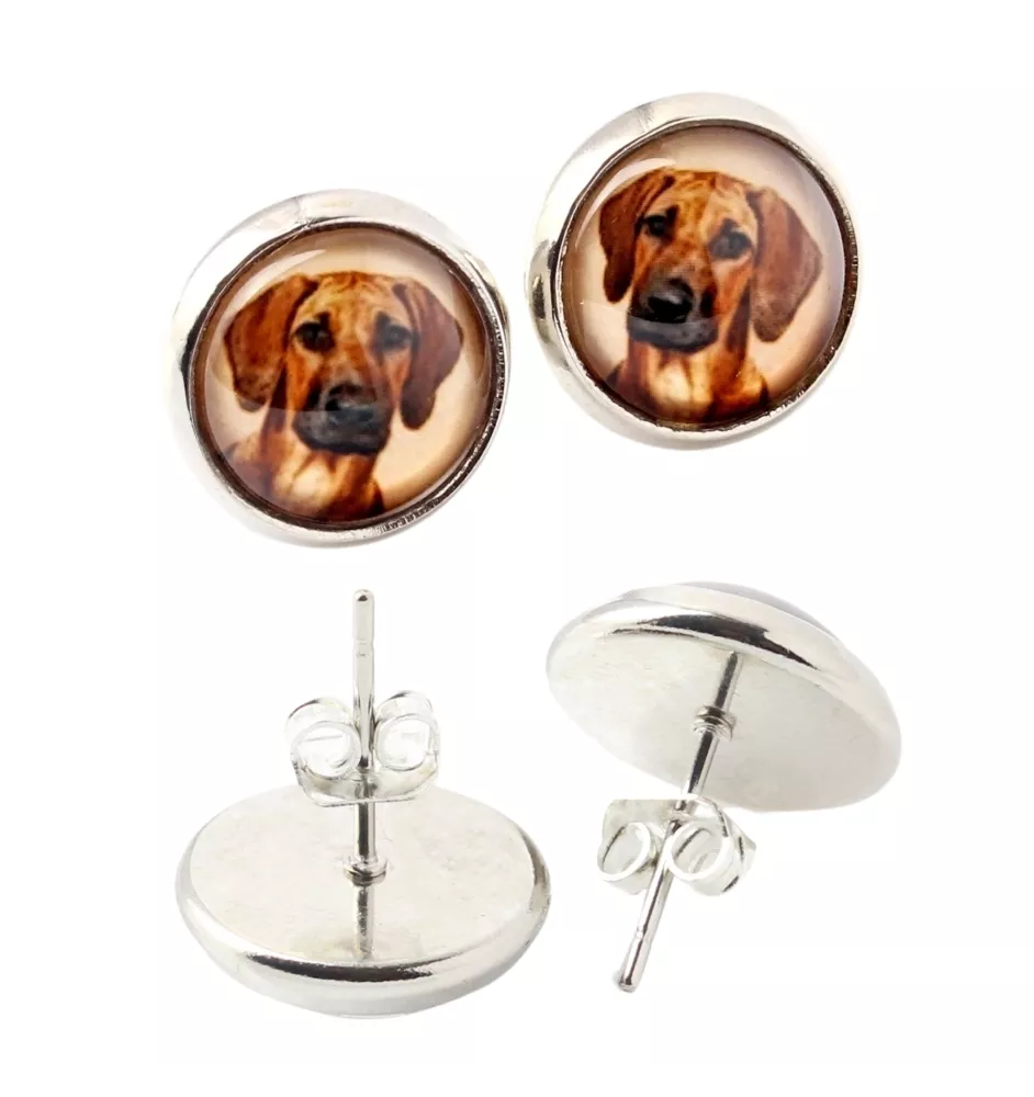 Rhodesian Ridgeback, African Lionhound, African Lion Dog - earrings in a box, your photo, handmade jewelry, a product of the Art-Dog brand