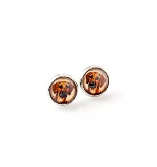Rhodesian Ridgeback, African Lionhound, African Lion Dog - earrings in a box, your photo, handmade jewelry, a product of the Art-Dog brand