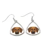 Chien de Rhodésie à crête dorsale, Rhodesian ridgeback - boucles d'oreilles avec une photo et un motif de chien géométrique Art-Dog