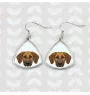 Chien de Rhodésie à crête dorsale, Rhodesian ridgeback - boucles d'oreilles avec une photo et un motif de chien géométrique Art-Dog