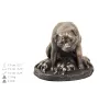 Rottweiler, Rott, Rottie III - urn for dog ashes, personalized urn with a statue, wooden urn with a dog by Art-Dog brand