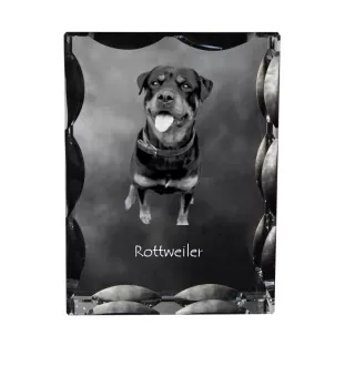 Rottweiler - Kristall mit einem Hundebild, Glasstatuette mit einem Bild, einzigartiger Bilderrahmen der Marke Art-Dog