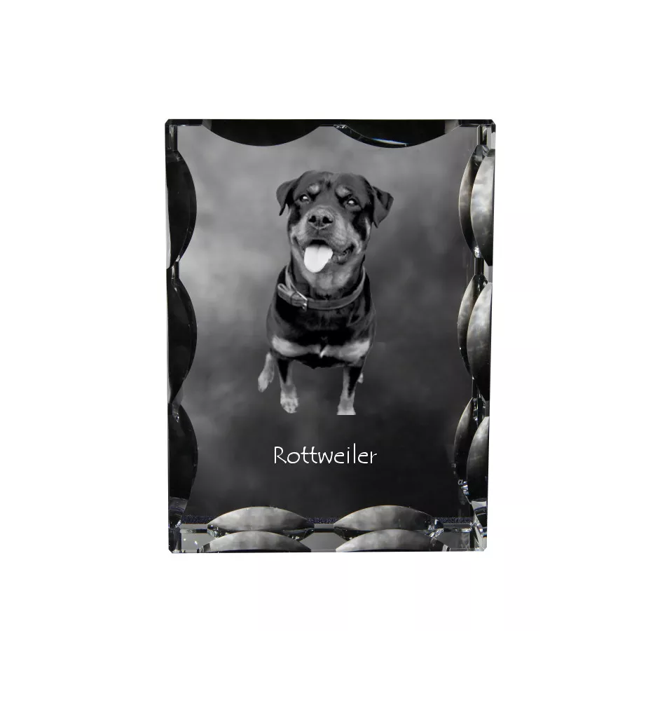 Rottweiler, Bouvier allemand - cristal avec photo de chien, statuette en verre avec photo, cadre exceptionnel avec photo de la marque Art-Dog