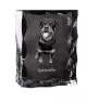 Rottweiler ramka kryształowa z psem Art-Dog