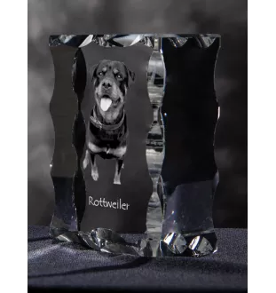 Rottweiler ramka kryształowa z psem Art-Dog