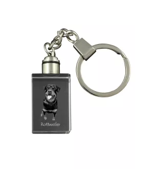 Rottweiler, Bouvier allemand - Porte-clés en cristal avec photo de chien, porte-clés lumineux, cadeau unique de la marque Art-Dog