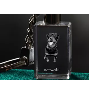 Rottweiler, Bouvier allemand - Porte-clés en cristal avec photo de chien, porte-clés lumineux, cadeau unique de la marque Art-Dog