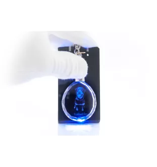 Rottweiler, Rott, Rottie - pendant with a photo of a dog, crystal key ring in a gift box, a unique gift by Art-Dog