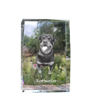 Rottweiler, Bouvier allemand - cristal avec une photo de chien, photo sous verre, exposition moderne de la marque de photos Art-Dog