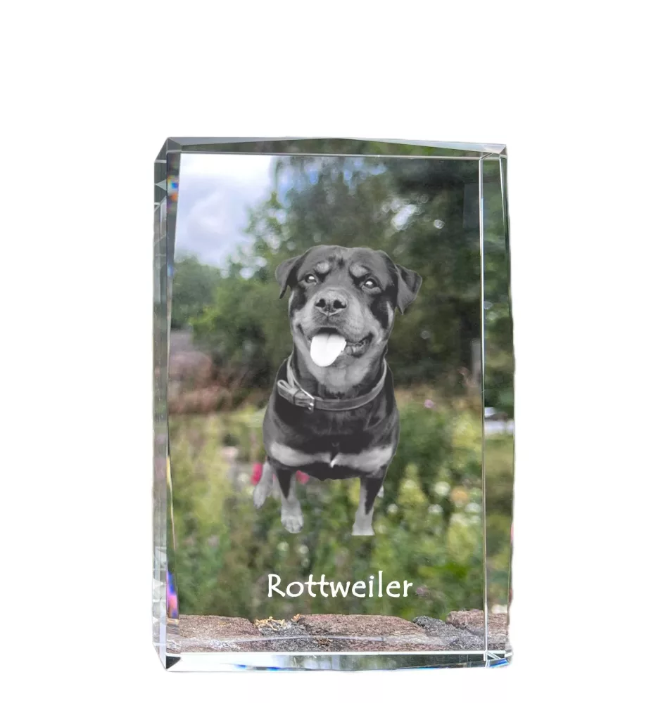 Rottweiler, Rott, Rottie - crystal with a picture of a dog, photo in glass, modern exhibition of Art-Dog brand photo