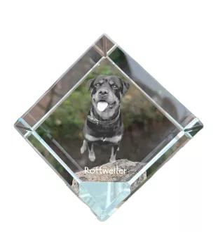 Rottweiler - Kristallwürfel mit Bild, Pferdebild im Kristall, sechseckiger Papierclip der Marke Art-Dog