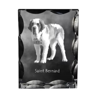 Saint-bernard, Chien Du Mont Saint-Bernard - cristal avec photo de chien, statuette en verre avec photo, cadre exceptionnel avec photo de la marque Art-Dog