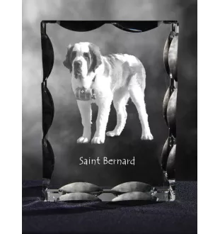 St. Bernhardshund, Bernhardiner - Kristall mit einem Hundebild, Glasstatuette mit einem Bild, einzigartiger Bilderrahmen der Marke Art-Dog