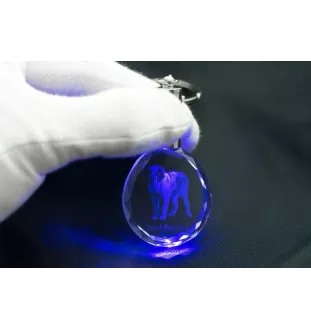 Saint-bernard, Chien Du Mont Saint-Bernard - pendentif avec une photo de chien, porte-clés en cristal dans une boîte cadeau, un cadeau unique par Art-Dog