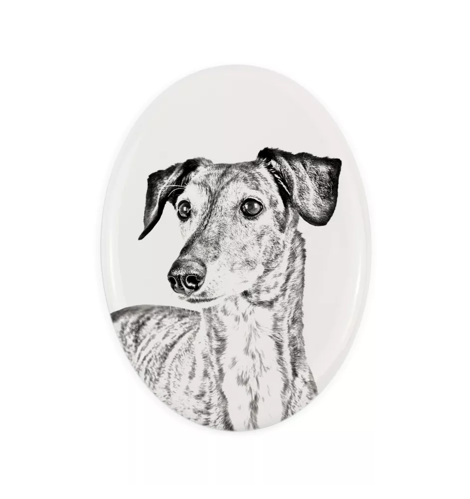 Saluki, Lévrier persan - une plaque commémorative avec une photo de chien, une plaque funéraire avec une impression, une plaque ovale personnalisée de la marque Art-Dog