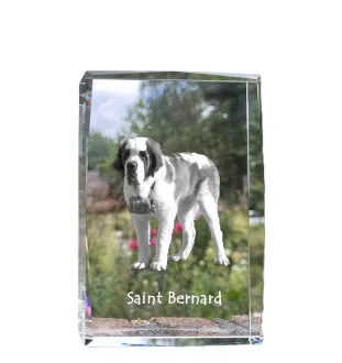 Saint-bernard, Chien Du Mont Saint-Bernard - cristal avec une photo de chien, photo sous verre, exposition moderne de la marque de photos Art-Dog