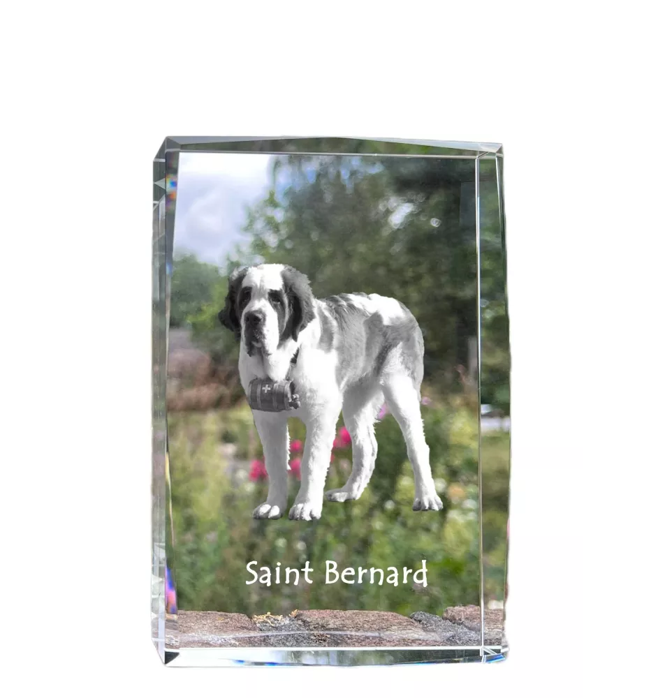 St. Bernhardshund, Bernhardiner - Kristall mit einem Hundebild, Bild im Glas, moderne Ausstellung des Art-Dog-Bildes.