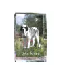 St. Bernard, Saint Bernard, Alpine Mastiff, Bernhardiner - crystal with a picture of a dog, photo in glass, modern exhibition of Art-Dog brand photo
