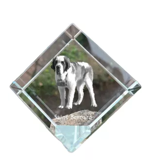 St. Bernard, Saint Bernard, Alpine Mastiff, Bernhardiner - crystal cube with a photo, photo of a horse in crystal, cubic paperweight from Art-Dog brand
