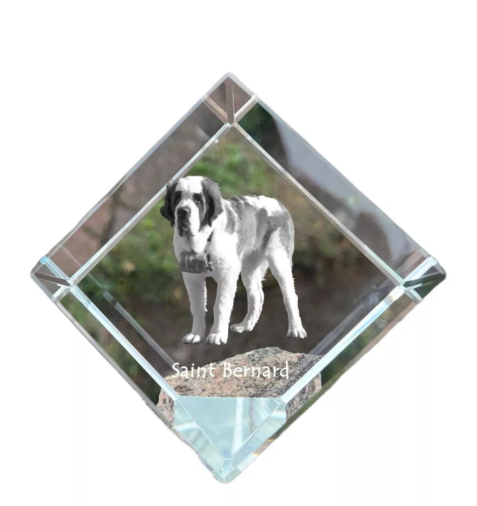 Saint-bernard, Chien Du Mont Saint-Bernard - un cube de cristal avec une photo, une photo de cheval dans le cristal, un presse-papiers cubique de la marque Art-Dog