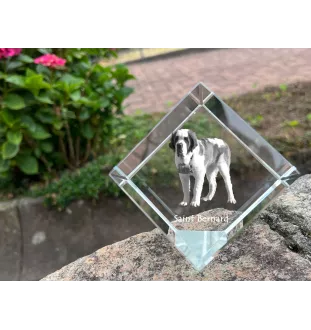 Saint-bernard, Chien Du Mont Saint-Bernard - un cube de cristal avec une photo, une photo de cheval dans le cristal, un presse-papiers cubique de la marque Art-Dog